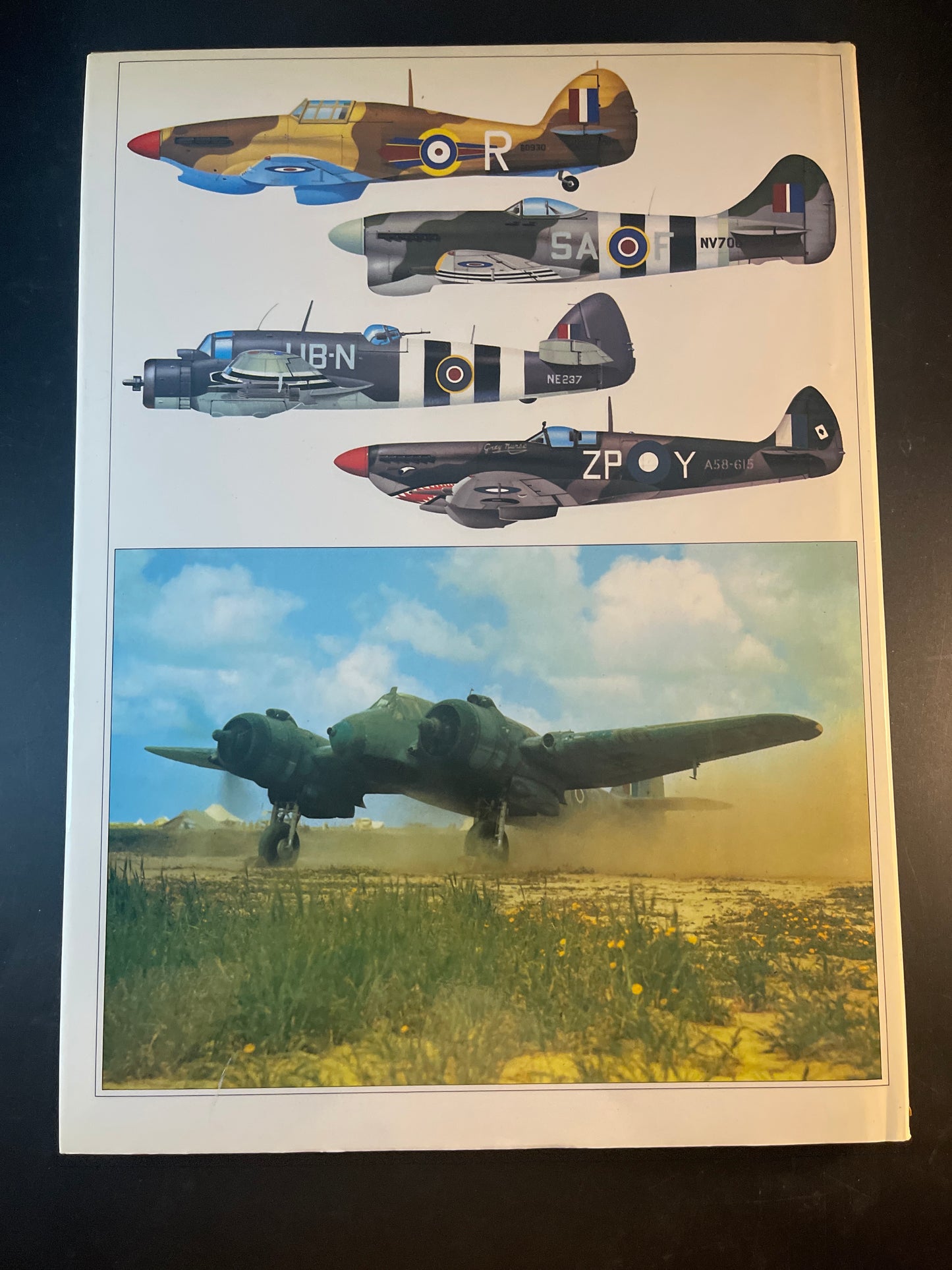 British Fighters of World War II