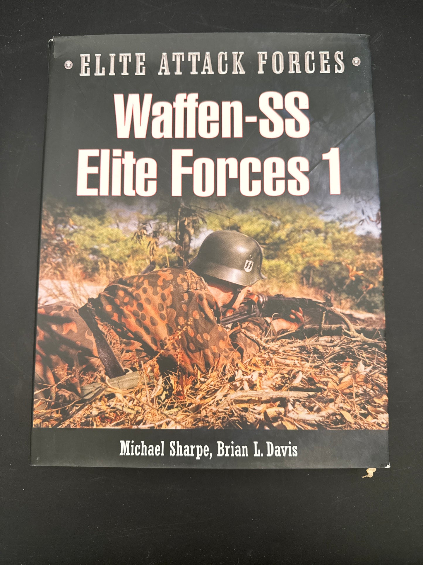Waffen-SS Elite Forces 1
