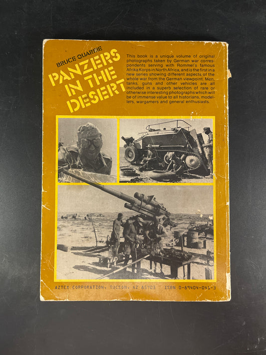 Panzers in the Desert
