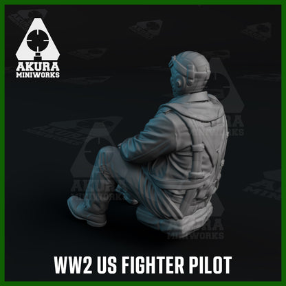 US WW2 Fighter Pilot