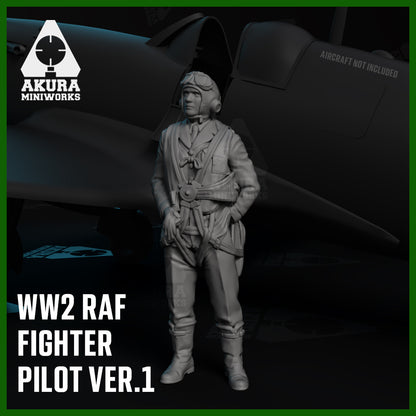 WW2 R.A.F Fighter Pilot Ver.1