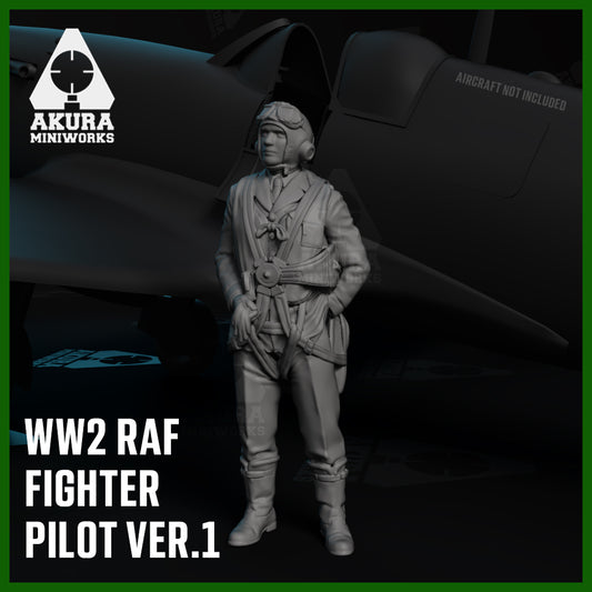 WW2 R.A.F Fighter Pilot Ver.1