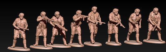 British SAS Raiders Africa