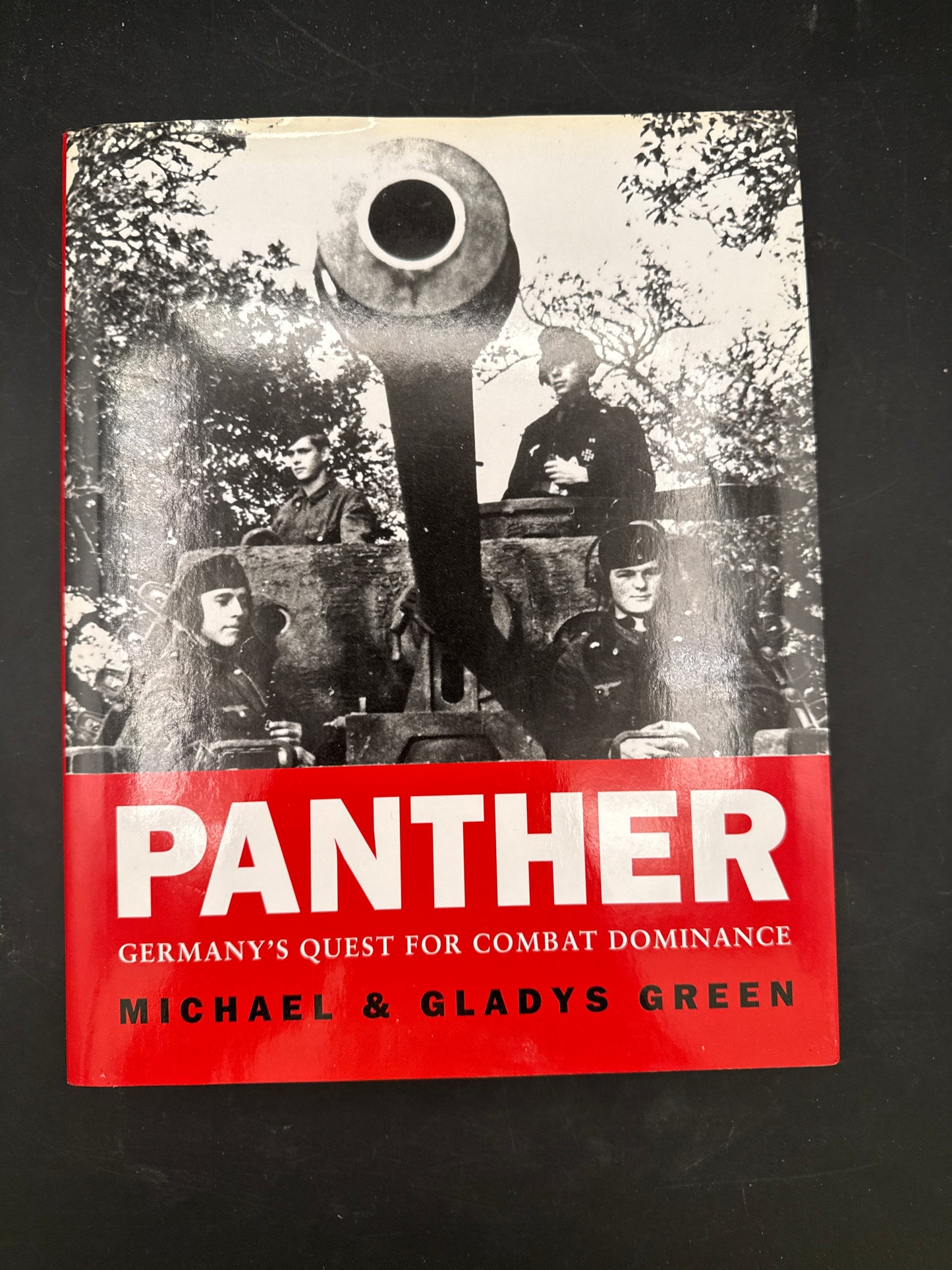 Panther Germany’s quest for combat dominance