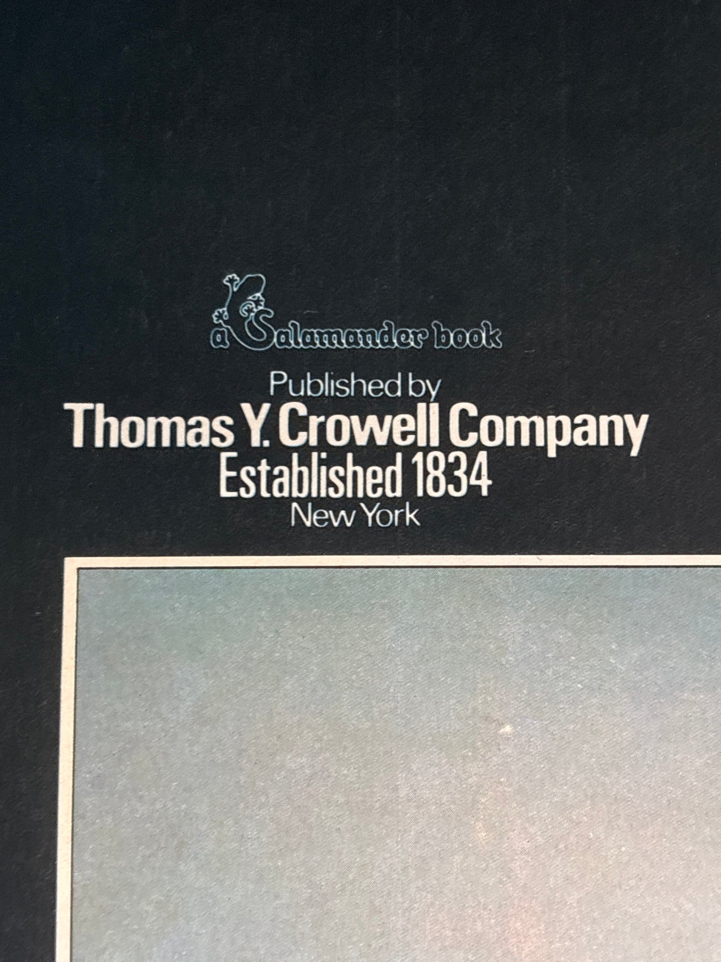 The Encyclopedia of Sea Warfare: from the first ironclads to the present day