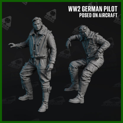WW2 German Pilot Posed on Aircraft