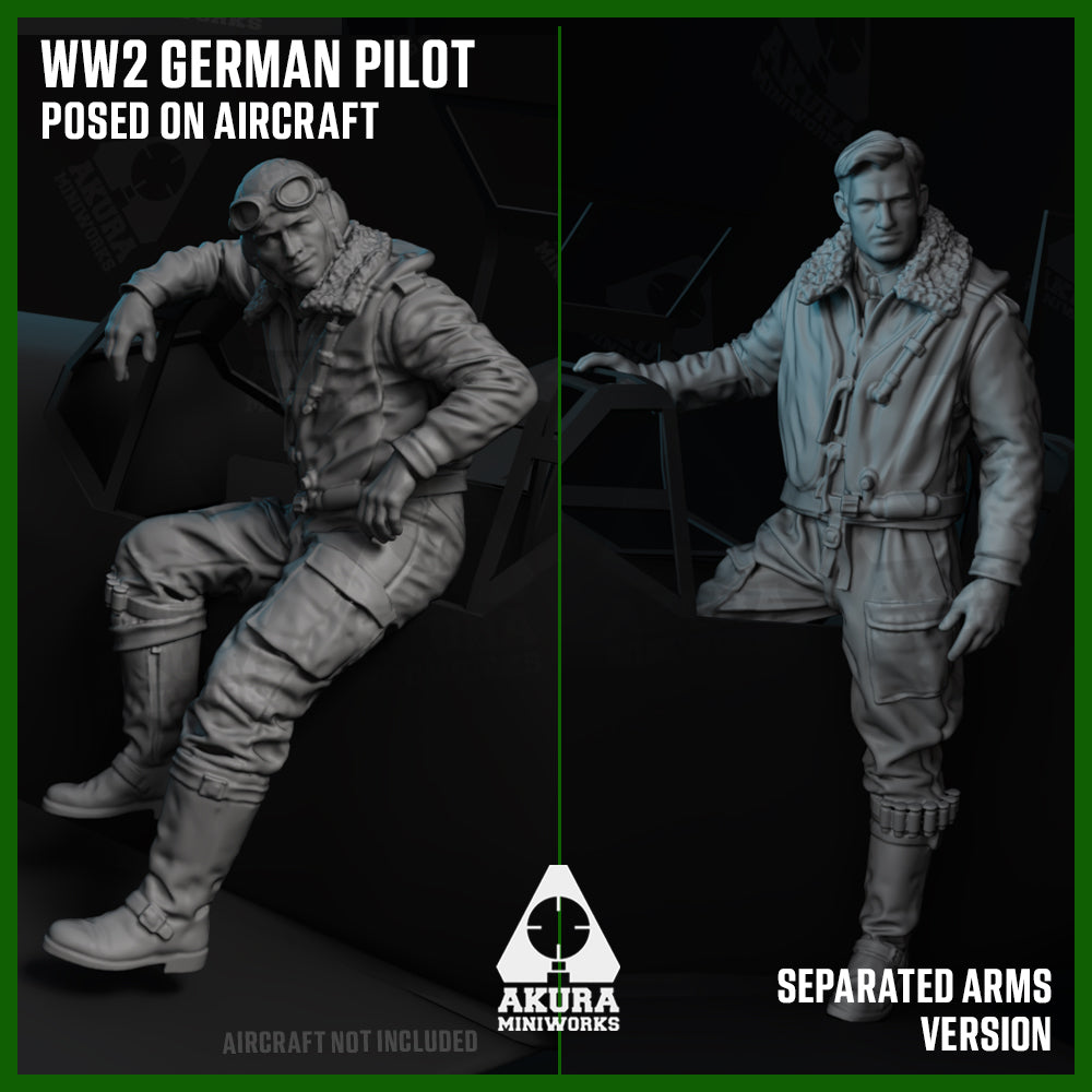 WW2 German Pilot Posed on Aircraft