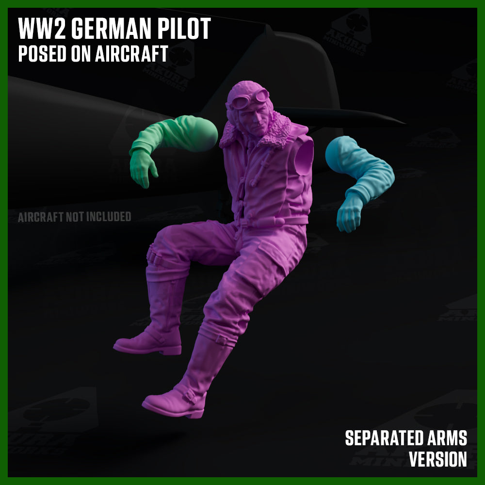 WW2 German Pilot Posed on Aircraft
