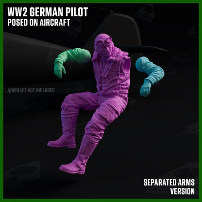 WW2 German Pilot Posed on Aircraft