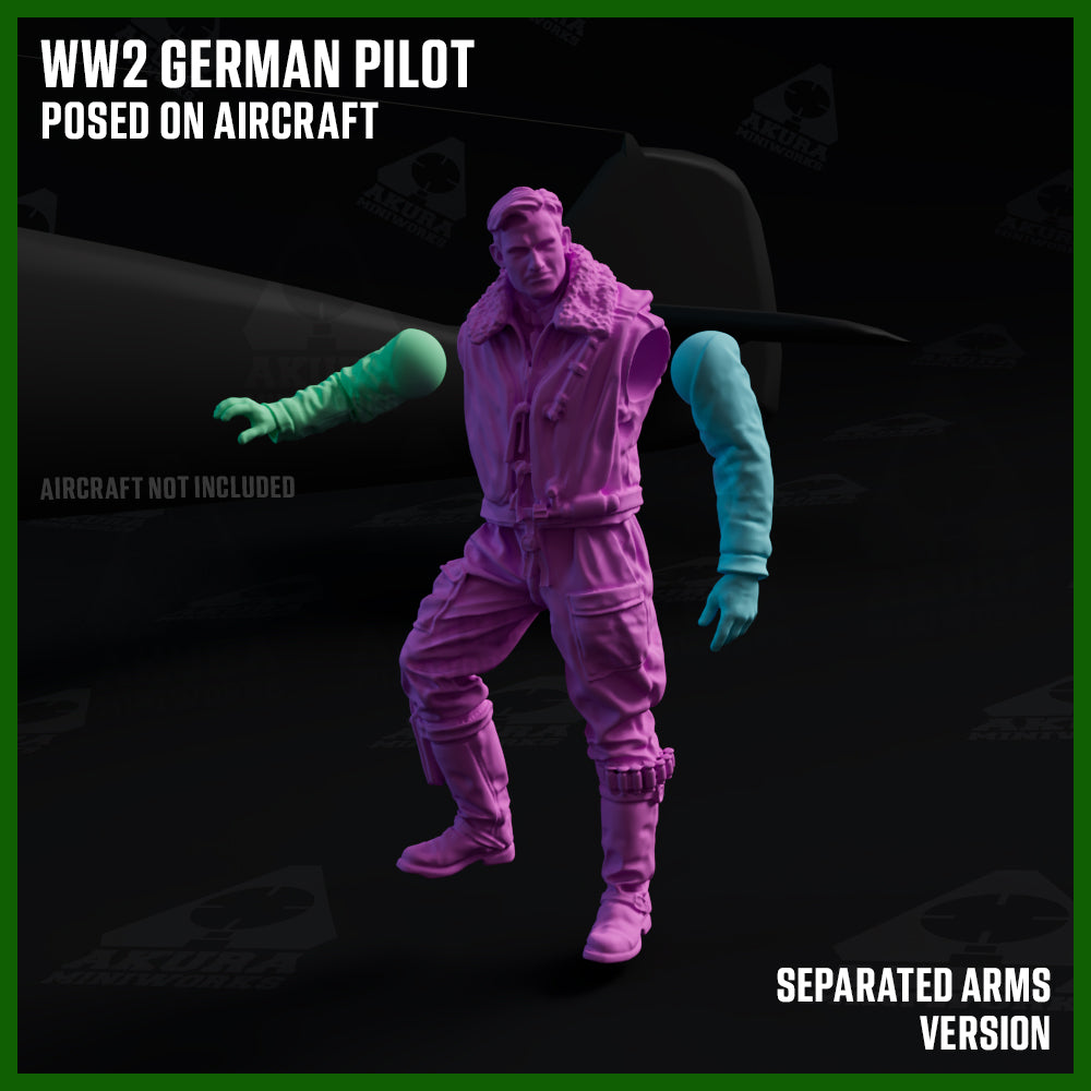 WW2 German Pilot Posed on Aircraft