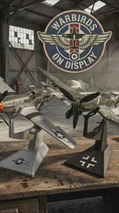 Warbirds on Display