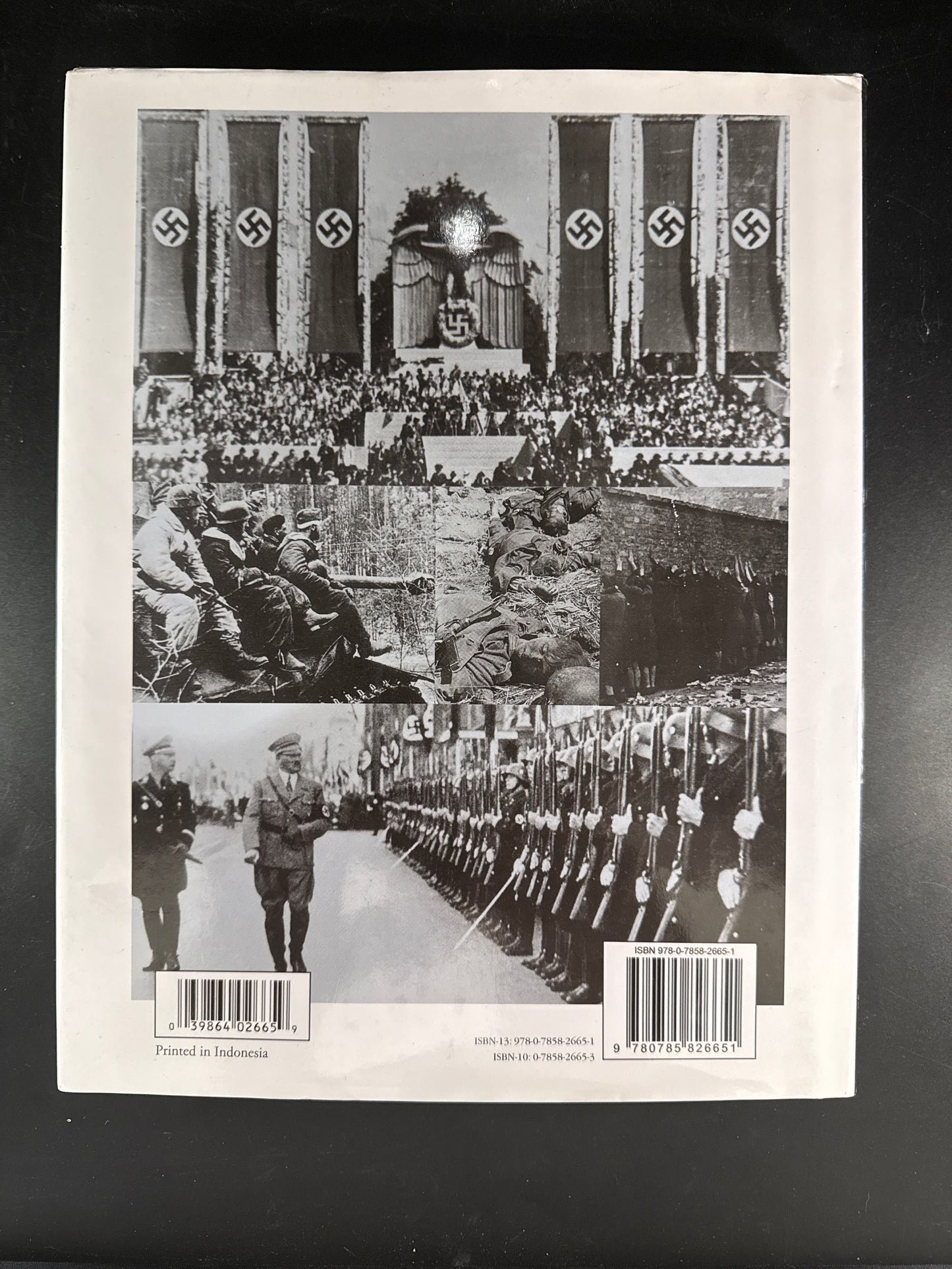 The Third Reich Day By Day
